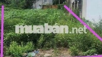 Bán đất thổ cư 200m2 (.5*40). Tại phú giáo bình dương
