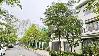 Phòng cho thuê khu biệt thự ngoại giao đoàn full đồ từ 3tr5