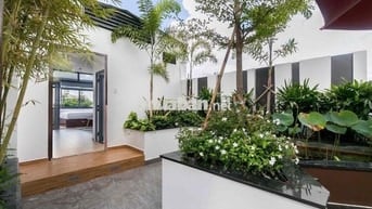 Căn Hộ 1PN Ban Công Sân Vườn 50m2_Trần Hưng Đạo Quận 1