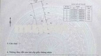 CHÀO BÁN LÔ ĐẤT ĐẸP KIỆT OTO ÔNG ÍCH ĐƯỜNG - CẨM LỆ