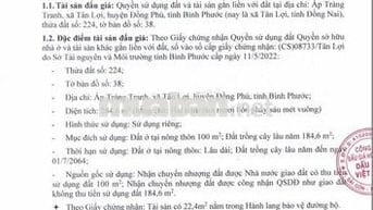 BĐS Ấp Trảng Tranh, xã Tân Lợi, huyện Đồng Phú, tỉnh Bình Phước