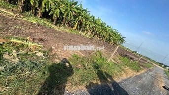 420tr/nền FULL THỔ , CUỘN 4 NỀN GIÁ 1,5TỶ ,ĐƯỜNG ÔTÔ TRƯỚC ĐẤT