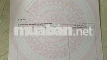 Đau lòng lắm nhưng ko còn lựa chọn chị chủ hạ mạnh từ 780t còn 465t ạ