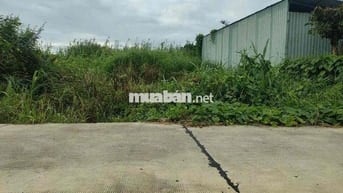 Đất thổ cư KDC Bình Tâm - Tân An - Long An