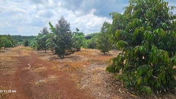 Bán đất DT 1096.8m2, giá siêu hời 4,2 tỷ tại ĐT 328, Bàu Lâm, XM, BRVT