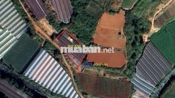 BÁN ĐẤT NN ĐƯỜNG CAO THẮNG, P.7, TP. ĐÀ LẠT - KHU D4 CAO THẮNG