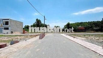 BÁN GẤP 2 LÔ ĐẤT LIỀN KỀ 8x27m NGAY PHƯỜNG TÂN TRIỀU CHỈ tt500tr