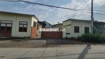 Nhà Xưởng 1023m2 tại Đường Nguyễn Thị Xạnh, Củ Chigiá siêu hời 14,5 tỷ