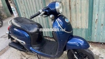 xe ga 50cc Gionor