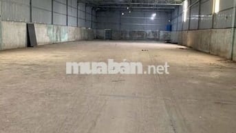 Kho xưởng 396m² Nền sạch, tiện ích đầy đủ, vị trí đắc địa Bình Chánh