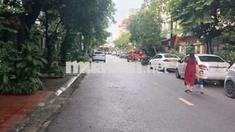 Biệt Thự Đại Mỗ – 188m², Ngang 10,5m, 4 Tầng
 -10,5 tỷ