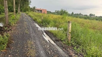 BÁN MIẾNG ĐẤT VƯỜN – GIÁ HỢP LÝ, GIẤY TỜ RÕ RÀNG