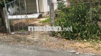 Bán nhà và đất vườn 2002m² 2 mặt tiền đường nhựa, gần Cái Ngang