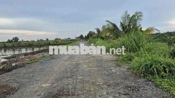 1000m2 giá 569tr , xã tân thành - thủ thừa - long an