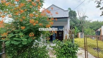 Tam Lập, Giảm mạnh 300 tr cứu chủ ngộp ngân hàng ngay cụm công nghiep