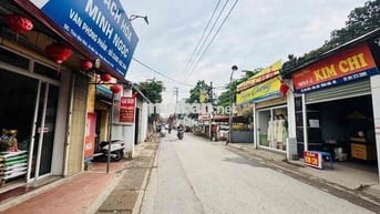 CHỦ GỬI BÁN ĐẤT MAI LÂM ĐÔNG ANH - Ô TÔ TRÁNH THÔNG THOÁNG - LÔ GÓC -