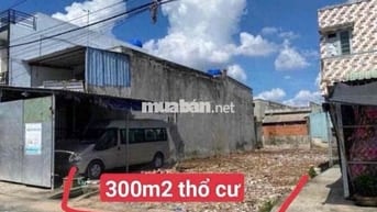 Miếng đất 300m2 thổ cư sẵn 100m2, sổ hồng riêng sang tên trong ngày Nằ