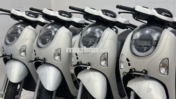 Scoopy 2025 - New 100%