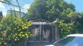 Cho thuê nhà nguyên căn Ấp Thạnh Sơn 3, Phước Tân, Xuyên Mộc