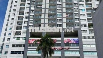 🏠 Penthouse Bình Thạnh 206m² – căn góc view đẹp – giá chỉ 8.268 tỷ 🌹