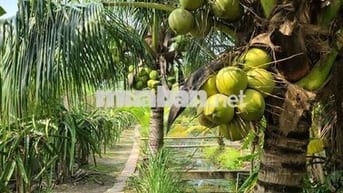 Bán nhà vườn đẹp như resort tại TPHCM