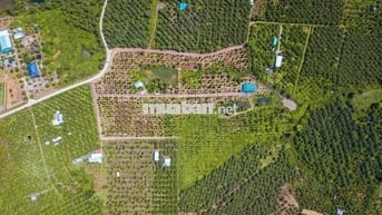 Bán lô đất vườn gần QL20 xã La Ngà, sổ sẵn Công chứng nhanh