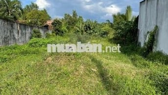CHỦ CẦN TIỀN NÊN BÁN ĐẤT Ở TRẢNG BÀNG, TÂY NINH DT 5X35 GIÁ 530 TRIỆU