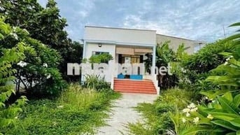 Chủ đi nước ngoài nhượng lại mảnh vườn 600m2 sẵn thổ cư