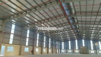 Cho thuê kho xưởng 1.900m2 , tại KCN Đức Hòa , Long An , PCCC tự động