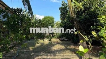 🌟 BÁN ĐẤT MẶT TIỀN ĐƯỜNG 763 🌟 📐 12,5 x 40m  📍 Trục Xuân Lộc – Long Kh