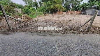 Đất 1/ Trung Lập - Trung Lập Thượng: 156m2 - thổ 135m2. Giá 550 triệu
