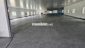 Cho thuê xưởng Thuận An 1200m nền epoxy trần panel đường cont