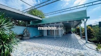 nhà mặt tiền + vườn cây ăn quả