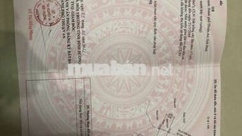 Ban đat phuong an thanh ,TA,BD,,TREN ĐAT CO MAY CAY MANG CUT,MAT LAM