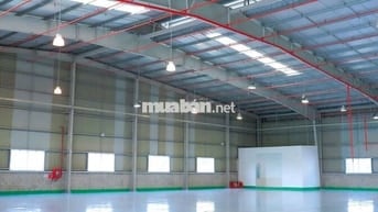 Cho Thuê Kho Xưởng 1200m²Tân Tạo A,PCCC Đạt Chuẩn, Giá 100k/m²