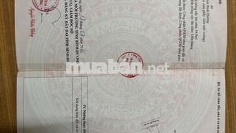 Bán Nhà cấp 4 chính chủ ở Thới Hoà