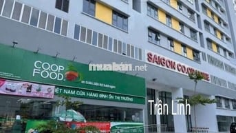 Bán chung cư SÀI GÒN COOP trục Nguyễn Oanh Gò Vấp 56 m2 - 67m2