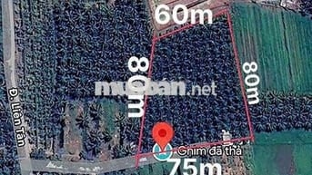 BÁN ĐẤT ĐƯỜNG BÊ TÔNG 3 MÉT, DIỆN TÍCH 3.300, GIÁ 2.9 TỶ