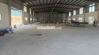 Cho Thuê Kho Xưởng 800m² Tại KCN Tân Tạo – Bình Tân, Giá 4,1 USD/m²
