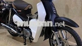 Supper cup 50cc-2024