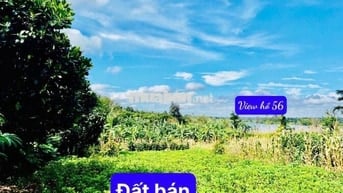 VIEW HỒ- ĐƯỜNG BÊ TÔNG KHU DÂN CƯ