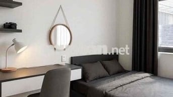 🏡 CĂN HỘ 1PN – 40M² – ĐƯỜNG LÊ VĂN HƯU