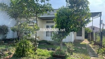 NHÀ VƯỜN HẺM 88 LỮ GIA - LỘC CHÂU - BẢO LỘC - 10X31M SẴN 100 THỔ CƯ