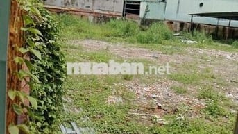 Cần bán đất.dt.5x19m.hẽm 5m.thông.2// võ văn vân