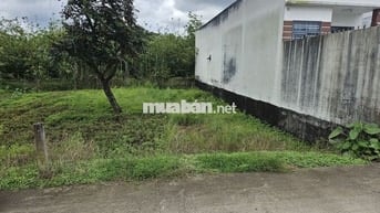ĐẤT NỀN XẺO LÁ- NHÁNH TRƯƠNG VĨNH NGUYÊN