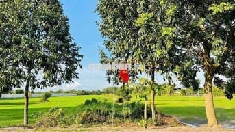 🌳 BÁN ĐẤT MẶT TIỀN ĐƯỜNG TỈNH LỘ 2 – TRUNG LẬP HẠ (XÃ NHUẬN ĐỨC MỚI),