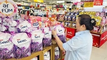 🌺 Nhân Dịp Lễ 20/10 và Tết Cần Bổ Sung Nhân Viên Làm Việc Tại TP.HCM