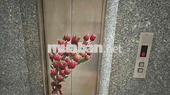 Cho thuê nhà 3 tầng có thang máy kdc an phú hung Q7