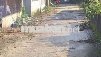 BÁN ĐẤT THỔ CƯ. ĐƯỜNG XE HƠI TẠI HÓC MÔN. TPHCM