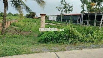 Nhà có 2057m2 đất thổ vườn ở Phước Thạnh – Giá 3 tỷ - Cách QL22 200m
